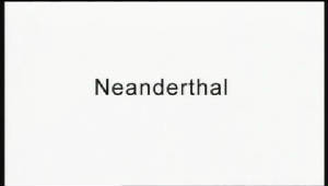 neanderthal_horizon_cover.jpg